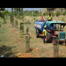 Ohne Bewässerung und Schutz vor den Ziegen hätten hier Bäume keine Chance